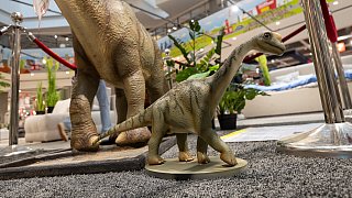 Paderborn: Diese Dinosaurier sind in der Stadt zu sehen