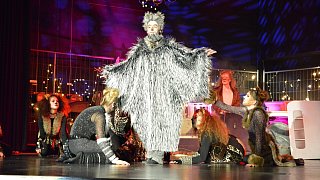 TSV-Jazztanz, Musical Dancing Cats