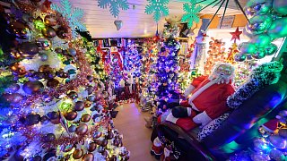 Neuer Rekord: 600 Weihnachtsbäume in einem Haus in Rinteln