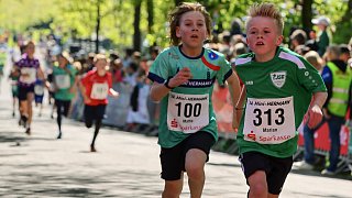 Fotostrecke Mini-Hermann