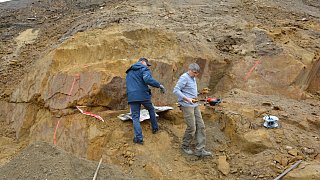 Fossiler Fund unterhalb der ehemaligen Jugendherberge