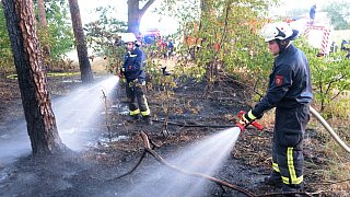 Waldbrand im Rhedaer Forst gelöscht