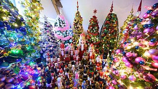 Neuer Rekord: 600 Weihnachtsbäume in einem Haus in Rinteln