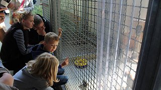 Viele Besucher beim Herbstfest zum 50. Jubiläum des Tierheimes