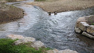 Paderborn: Impressionen aus dem mittleren Paderquellgebiet