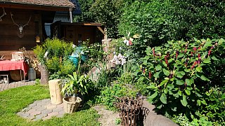 Der Garten von Lore und Dieter Halstenberg in Bad Oeynhausen