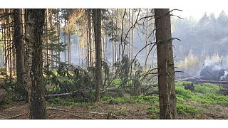 Lichtenau: Waldbrand nahe Kleinenberg