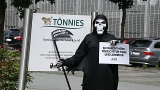 PETA-Aktivisten demonstrieren vor dem Fleischwerk Tönnies in Rheda