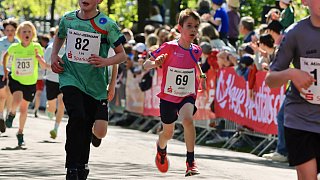 Fotostrecke Mini-Hermann