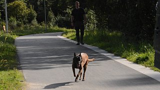 Rheda-Wiedenbrück: Polizei sucht nach vermisster Frau