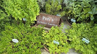 Schönster Garten in OWL: Steinhagen