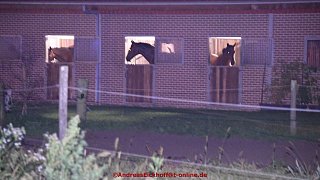 Scheunenbrand vernichtet Hunderte Strohballen - Warn-App ausgelöst