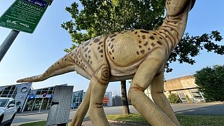 Paderborn: Diese Dinosaurier sind in der Stadt zu sehen