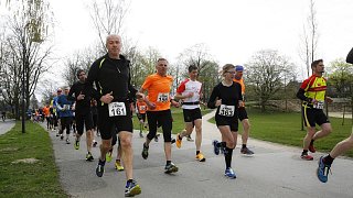 48. Harsewinkeler Volkslauf