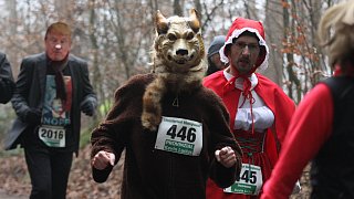 Laufvergnügen für Mensch und Hund in Rödinghausen