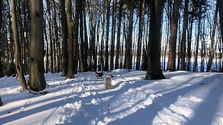 Bünde: Die schönsten Winterfotos aus dem Bünder Land