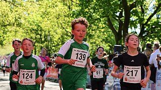 Fotostrecke Mini-Hermann