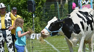 Geduldsprobe beim Kuhfladen-Roulette in Gütersloh