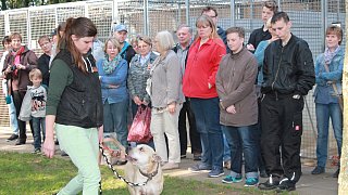 Viele Besucher beim Herbstfest zum 50. Jubiläum des Tierheimes