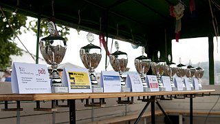 Kirchlengern: 12. Alttraktoren-Treffen in Klosterbauerschaft