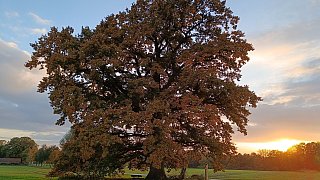 Herbstliches Bünde
