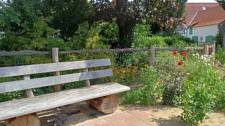 Garten von Mareike Hübner aus Löhne