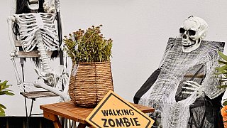 Bielefeld: Halloween an der Wertherstraße und am Boulevard