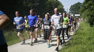 51. Gütersloher Pfingstlauf-Meeting