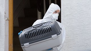 Höxter: Intensive Ermittlungsarbeiten rund um das Folterhaus von Bosseborn