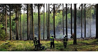 Lichtenau: Waldbrand nahe Kleinenberg
