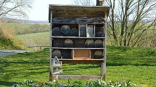 Kreis Höxter: NW-Fotoaktion Frühlingsanfang im Garten