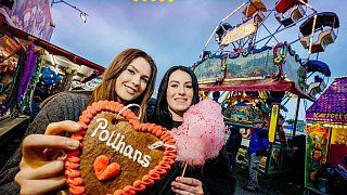 Pollhans-Markt ist gestartet