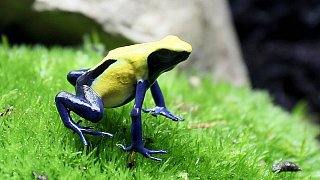 Die schönsten Fotos aus dem Tierpark Waldfrieden