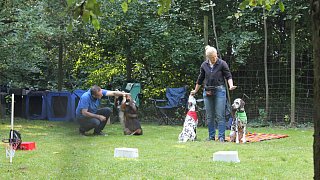 Viele Besucher beim Herbstfest zum 50. Jubiläum des Tierheimes