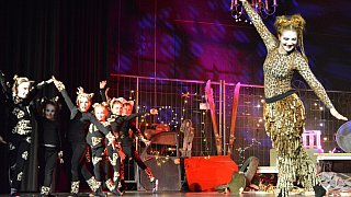 TSV-Jazztanz, Musical Dancing Cats