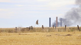 Kraftwerk in Veltheim brennt