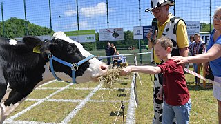 Geduldsprobe beim Kuhfladen-Roulette in Gütersloh