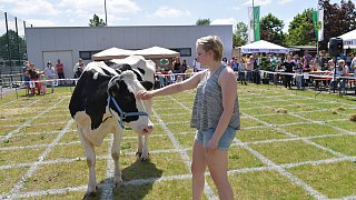 Geduldsprobe beim Kuhfladen-Roulette in Gütersloh