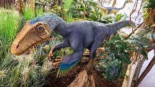 Paderborn: Diese Dinosaurier sind in der Stadt zu sehen