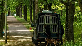Bielefeld: 17-jähriger Bielefelder stirbt nach Messerattacke am Schelpmilser Weg
