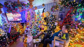 Neuer Rekord: 600 Weihnachtsbäume in einem Haus in Rinteln