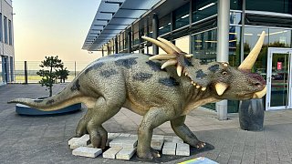 Paderborn: Diese Dinosaurier sind in der Stadt zu sehen
