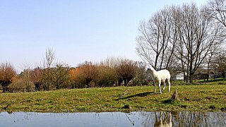 Kreis Höxter: NW-Fotoaktion Frühlingsanfang im Garten