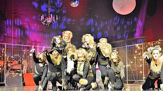 TSV-Jazztanz, Musical Dancing Cats
