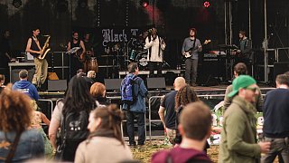 Steinheim: Reggae im Hanffeld