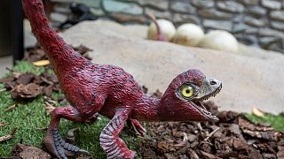 Paderborn: Diese Dinosaurier sind in der Stadt zu sehen