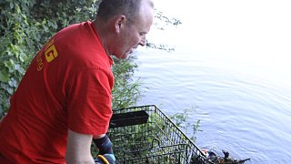 Löhne: Taucher in der Werre