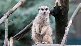 Die schönsten Fotos aus dem Tierpark Waldfrieden