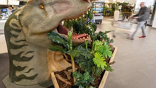 Paderborn: Diese Dinosaurier sind in der Stadt zu sehen