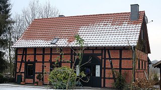 Vor zehn Jahren: Als Kyrill in Gütersloh stürmte - und wie es heute aussieht